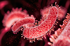 علم به بحث در مورد ارتباط بین میکروبیوم روده و اوتیسم پایان می‌دهد