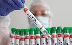 آنفلوآنزای پرندگان با علائمی جدید شناسایی شد!