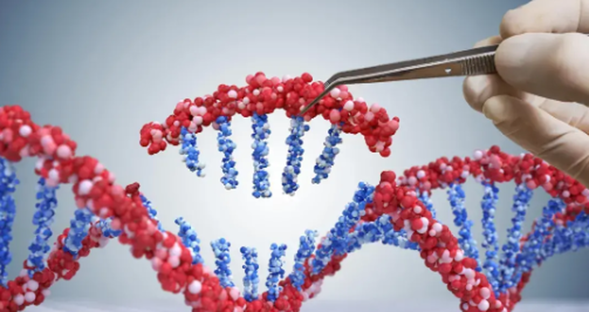 دانشمندان با فعال‌سازی دوباره ژن از‌دست‌رفته مانع تجمع چربی میشوند!