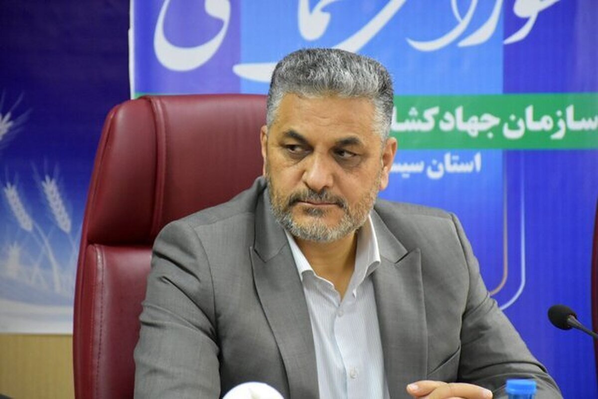 هشدار نسبت به قاچاق دام، روغن و کالا‌های اساسی