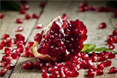 نتایج اختتامیه اولین رویداد ملی فناورانه انار اعلام شد