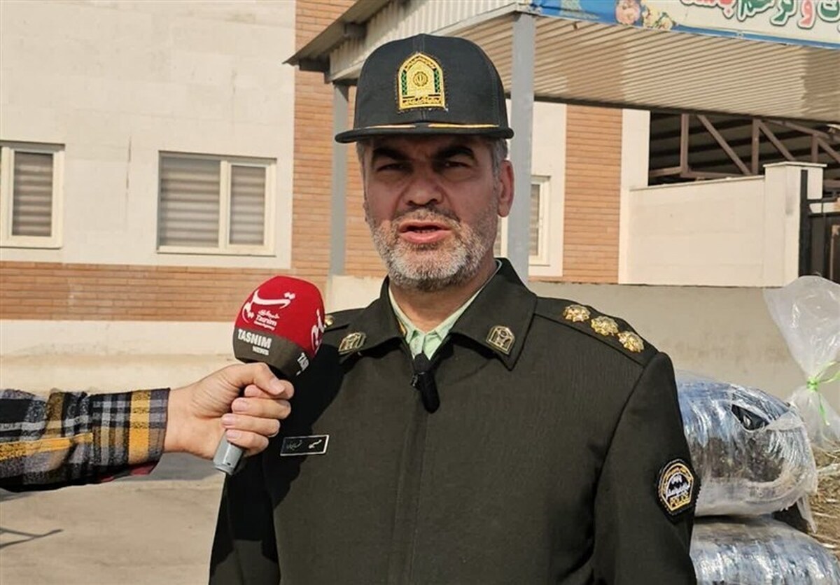 کشف ۶ تن مواد مخدر و جمع‌آوری ۳۴۰۰ معتاد متجاهر در ۷ ماه