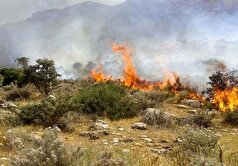 آتش‌سوزی در جنگل‌های الیت/ ۱۴ گروه در شیب ۶۰ درجه با شعله‌ها می‌جنگند