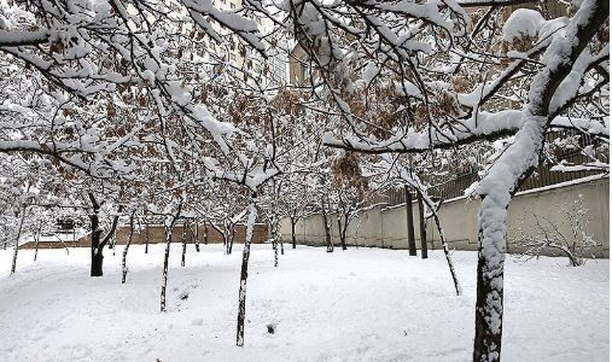 پاییز بالاخره به شمال رسید/ مازندران نفس سرد پاییز را کشید