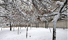 پاییز بالاخره به شمال رسید/ مازندران نفس سرد پاییز را کشید