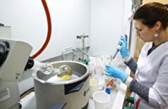 روسیه در حال توسعه ترکیبات شیمیایی است که قادر به کند کردن روند پیری سلول‌ها هستند