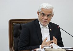 دیدار عارف با نمایندگان دانشجویان ایرانی دانشگاه‌های روسیه