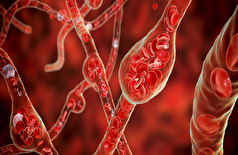 یک داروی قدیمی و رایج فشار خون ممکن است رشد تومور‌های بدخیم مغز را محدود کند