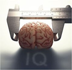 رابطه مشکل تمرکز و شنوایی در شلوغی