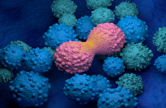 علائم اولیه سرطان دهانه رحم