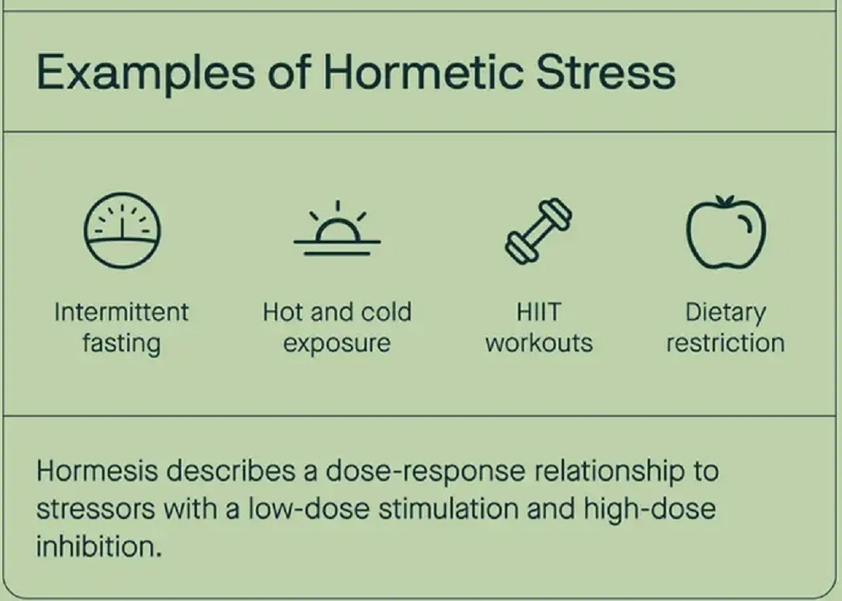 قوی‌تر شدن انسان وابسته به کمی استرس!