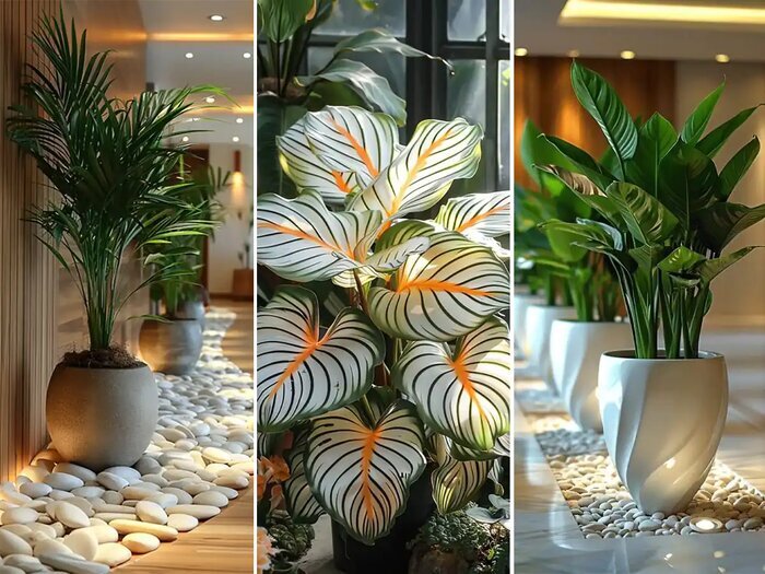 صفر تا صد دکوراسیون اصولی منزل با گیاهان آپارتمانی به سبک‌های مختلف