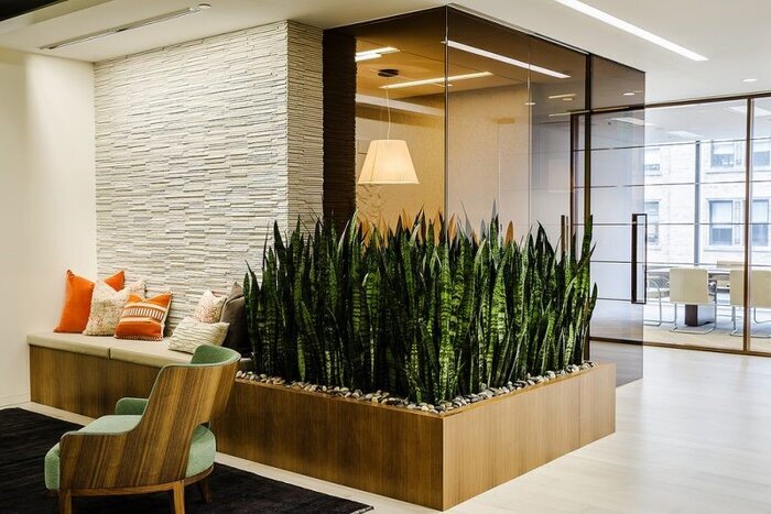 صفر تا صد دکوراسیون اصولی منزل با گیاهان آپارتمانی به سبک‌های مختلف