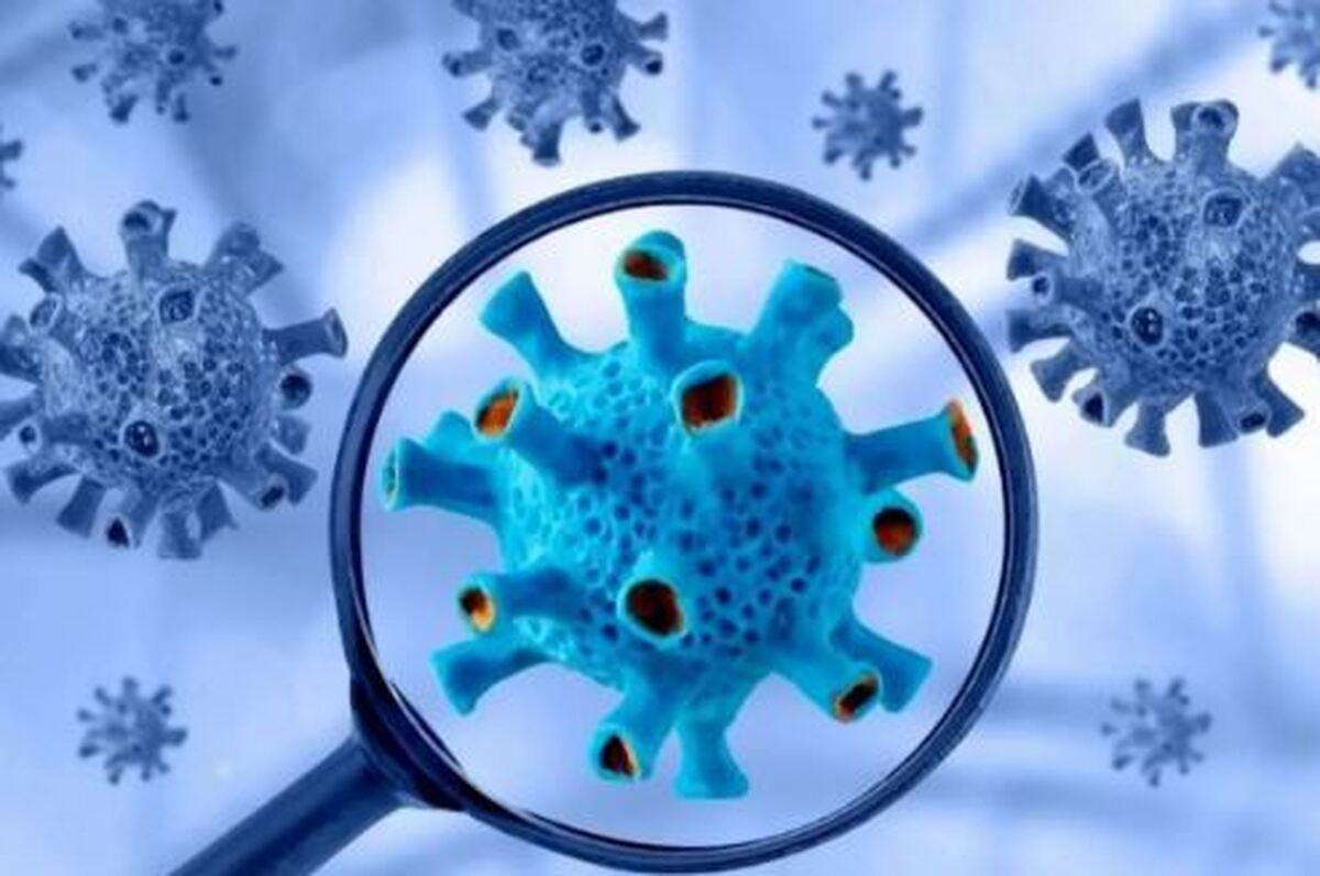 کرونای جدید چقدر خطرناک است؟