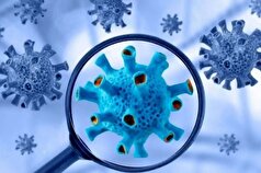 کرونای جدید چقدر خطرناک است؟