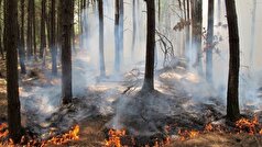 دستور ویژه برای اطفای حریق در چالوس