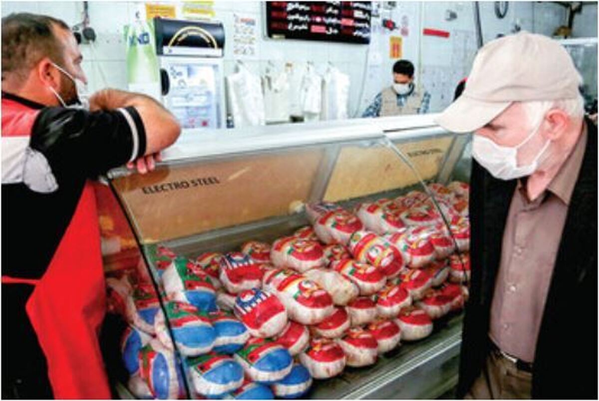 تغییرات جدید در قیمت مرغ اعلام شد