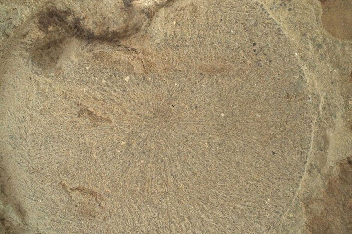 کشف تناوب غیرعادی سنگ‌های روشن و تیره در مریخ