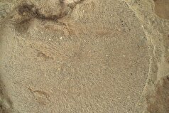 کشف تناوب غیرعادی سنگ‌های روشن و تیره در مریخ