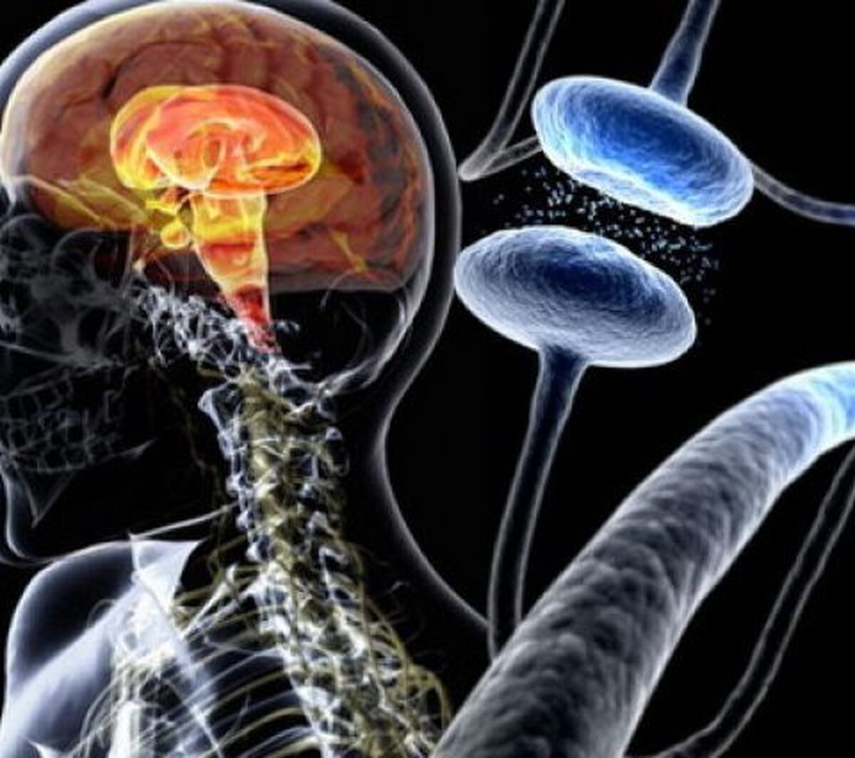 Neuron: بیماری پارکینسون از روده شروع می‌شود