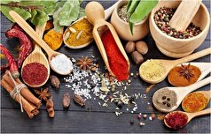 نکات ظریف استفاده به موقع ادویه در غذا‌ها