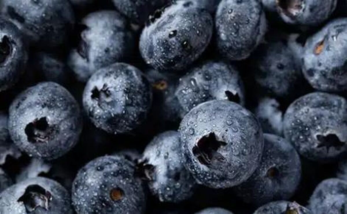 اگر به سلامت بدنتان اهمیت می‌دهید از این ۱۰ خوراکی جادویی غافل نشوید