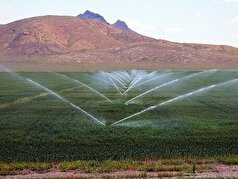 افزایش بهره‌وری و صرفه‌جویی درمصرف آب «گرجایی» با استفاده از سیستم‌های نوین آبیاری
