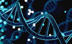 تغییر سریع محیط اجازه تثبیت جهش‌های ژنتیکی را نمی‌دهد!