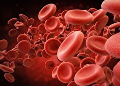 بازسازی مغز استخوان انسان در آزمایشگاه ممکن شد