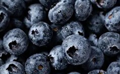 اگر به سلامت بدنتان اهمیت می‌دهید از این ۱۰ خوراکی جادویی غافل نشوید