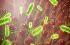 مطالعه تکان دهنده: بیش از ۱۰۰ نوع دارو سلامت روده را 