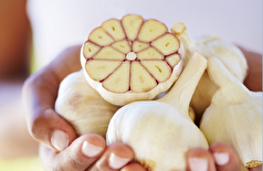 با وجود بوی تندش! دهانشویه حاوی سیر ممکن است از ضدعفونی‌کننده‌های رایج بهتر عمل کند