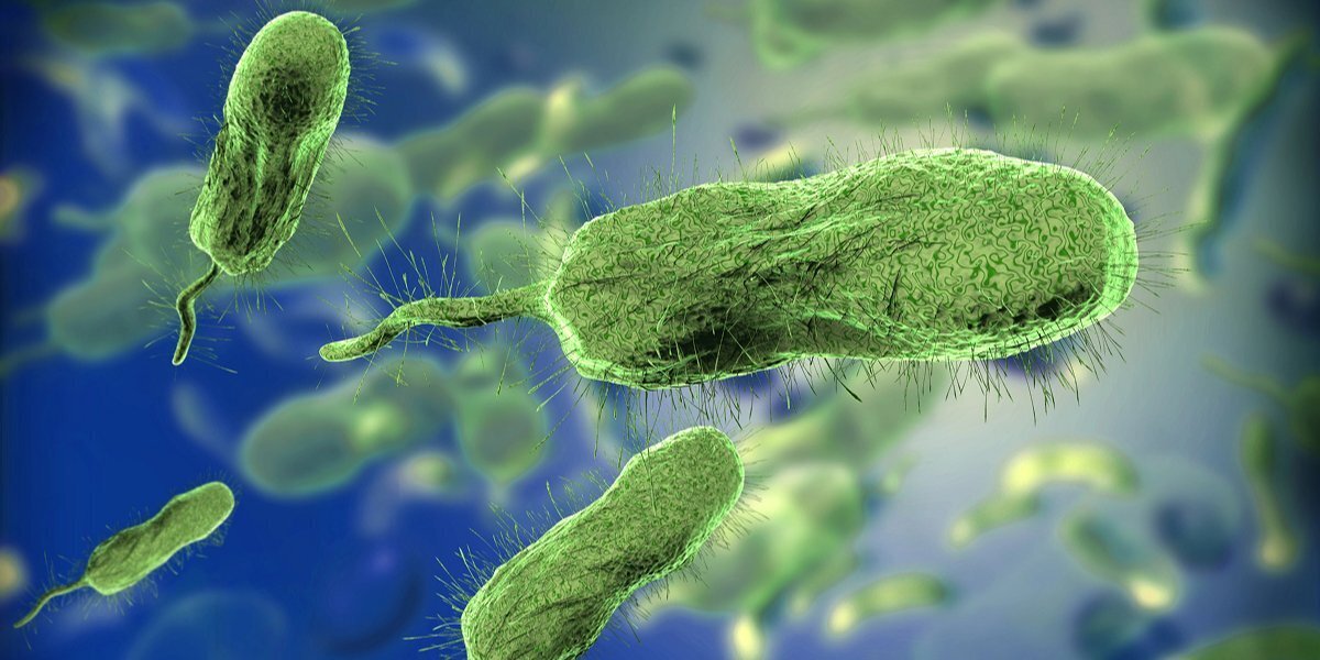 تکنیک جدید، زمان تشخیص فلج اطفال را به نصف کاهش می‌دهد