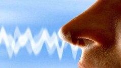 بینی بر رفتار ما تاثیر دارد!