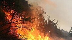 آتش الیت دوباره شعله ور شد