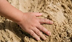 وجود حس هفتم در حال تایید است!