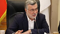 تحسین اقدامات تخصصی درمان سرطان درکرمان توسط وزیر بهداشت/ ۳۰ آمبولانس به ناوگان جاده‌ای کرمان اضافه می‌شود