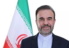 نجفی: ایران به قطعنامه تصویب شده در شورای حکام عکس‌العمل لازم نشان خواهد داد