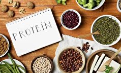 ۵ منبع مهم دریافت و تامین ویتامین مخصوص بانون ۴۰ سال به بالا