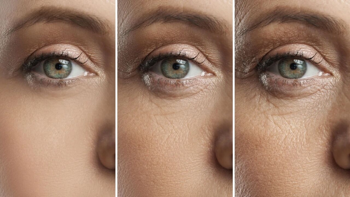 بینایی ازدست‌رفته در اثر پیری بازگردانی میشود!