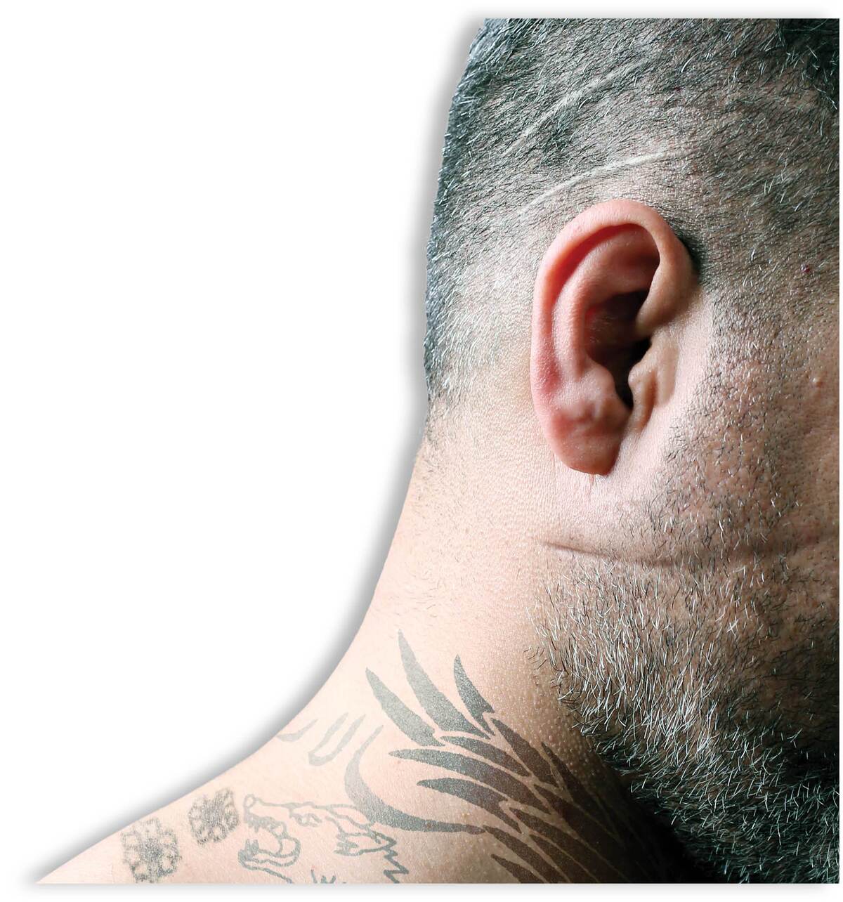 شرخر‌های مجازی هم قد علم کردند