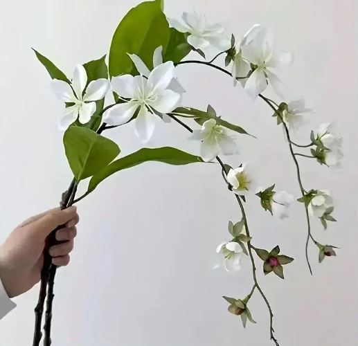 معرفی ۷ گیاه آپارتمانی که نمادی از عشق هستند معرفی ۷ گیاه آپارتمانی که نمادی از عشق هستند