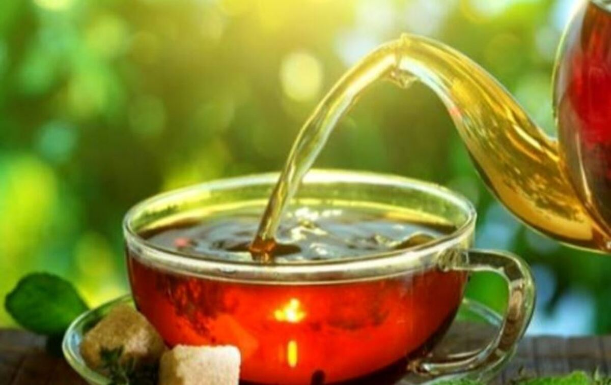 نکاتی که چای خور‌ها در دم کردن و مصرف چای سیاه باید رعایت کنند!