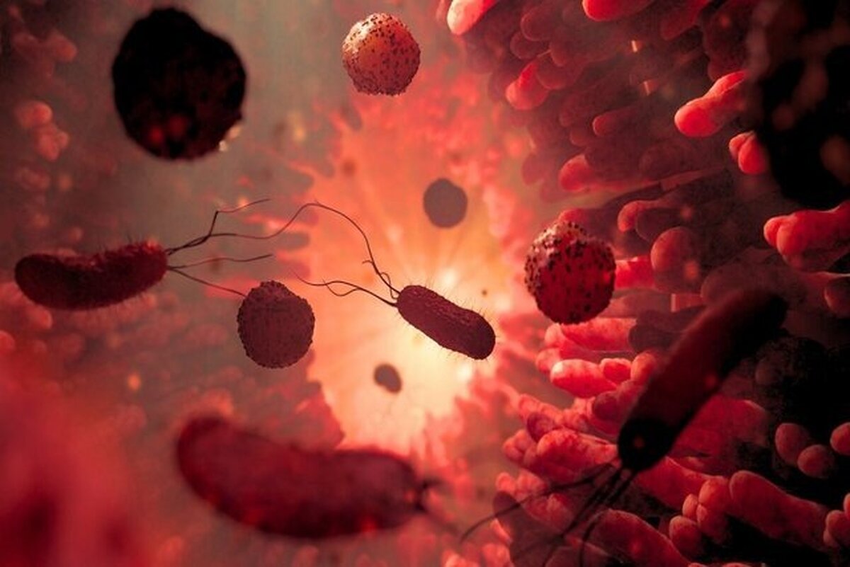 پیوند مدفوع چگونه باعث کاهش علائم افسردگی میشود؟