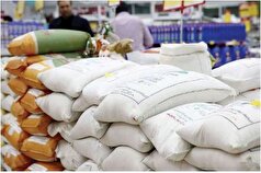 کاهش عرضه برنج ایرانی، بازار برنج را چالشی کرد!