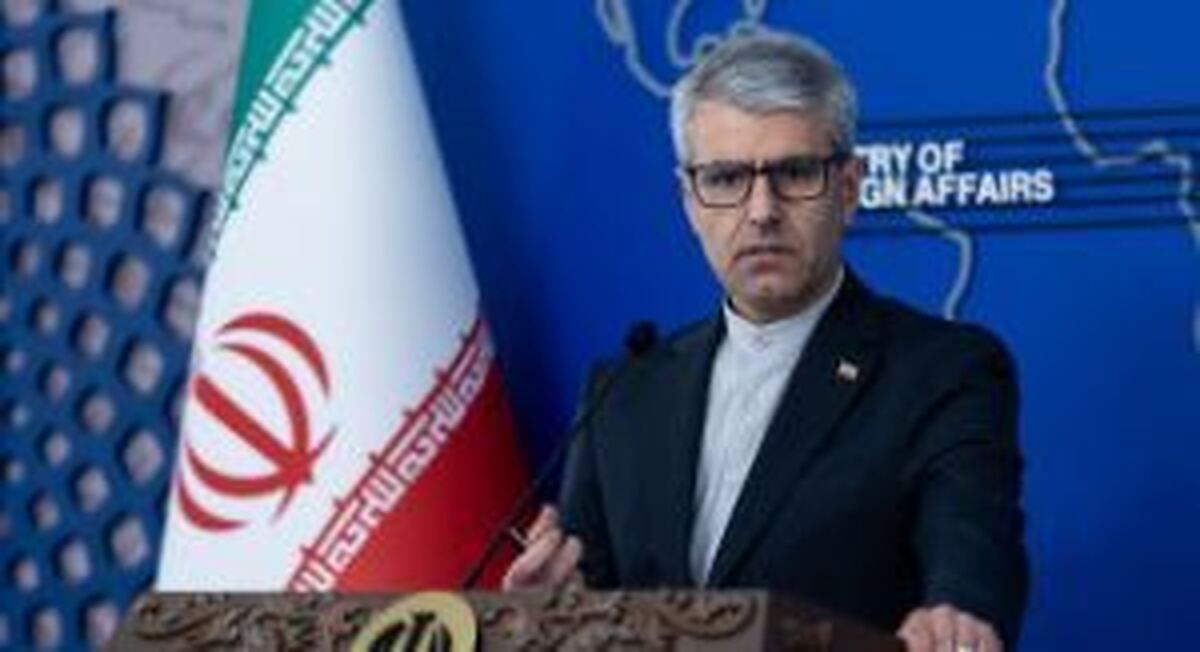 بقائی: تهران به قطعنامه جدید واکنش نشان خواهد داد