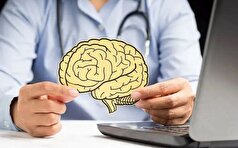 خوراکی‌هایی که مصرف آنها برای سلامت مغز ضروری است را بشناسید