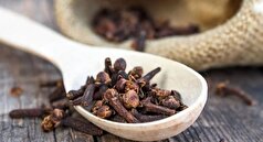 به کمک این ادویه بوی بد دهان را از بین ببرید