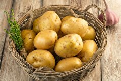 کارشناسان توضیح دادند که چگونه سیب‌زمینی‌های جدید باکیفیت انتخاب کنند