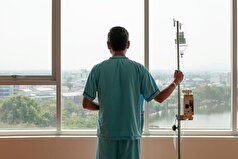 مشخص شد که باکتری‌های روده می‌توانند باعث سرطان خون شوند